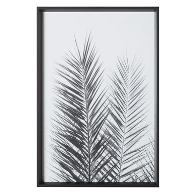 Palm Crisp - Image 2