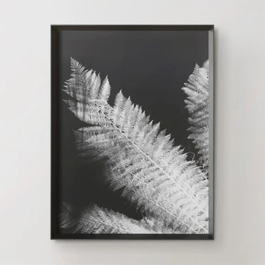 Tropical Palm Duet - Image 3