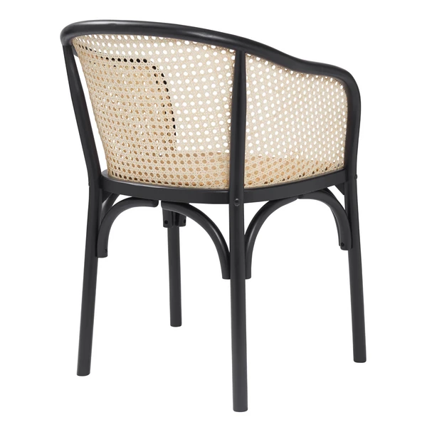Zaria Arm Chair - Image 4