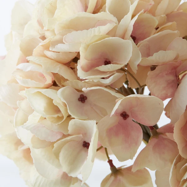French Hydrangea Stem - Set Of 3 - Image 2