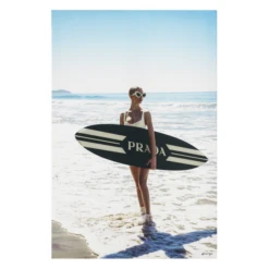 Surfer Girl