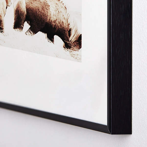 Wild And Free - Image 2