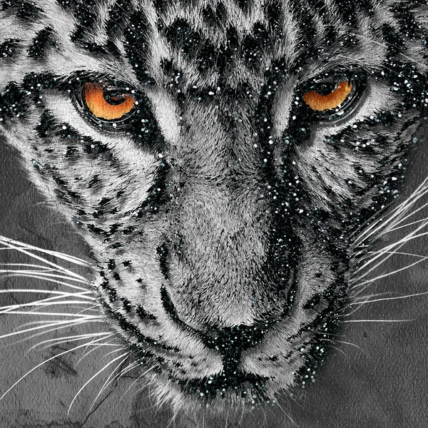 Leopard Spots - Image 3