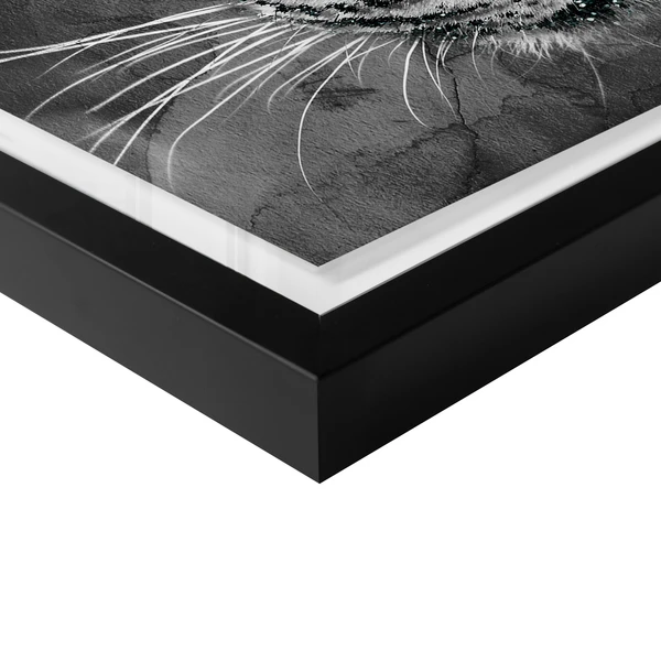 Leopard Spots - Image 4