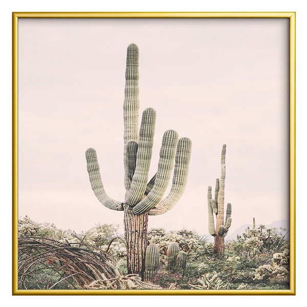 Pastel Pink Cactus - Image 4