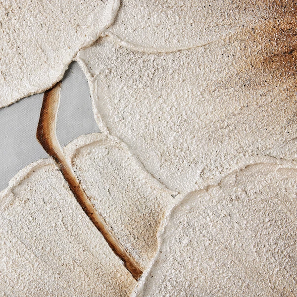 Elegance Blooms II - Image 5