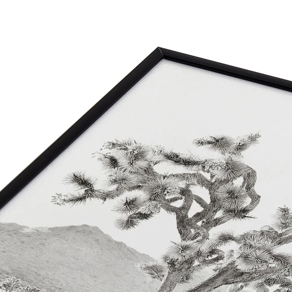 Joshua Tree Bliss - Image 3